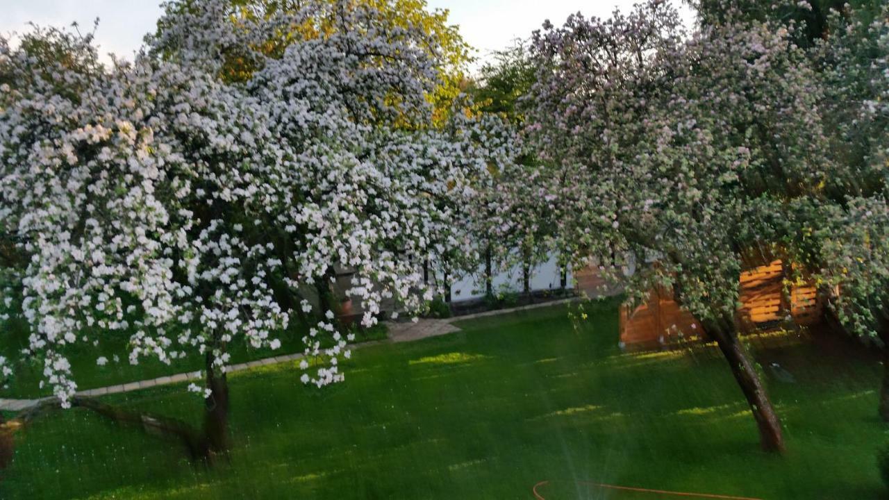 Ferienhaus Gregor Birkenwerder Eksteriør billede